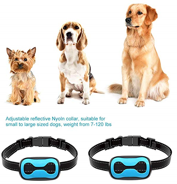 dog training collars for small dogs
